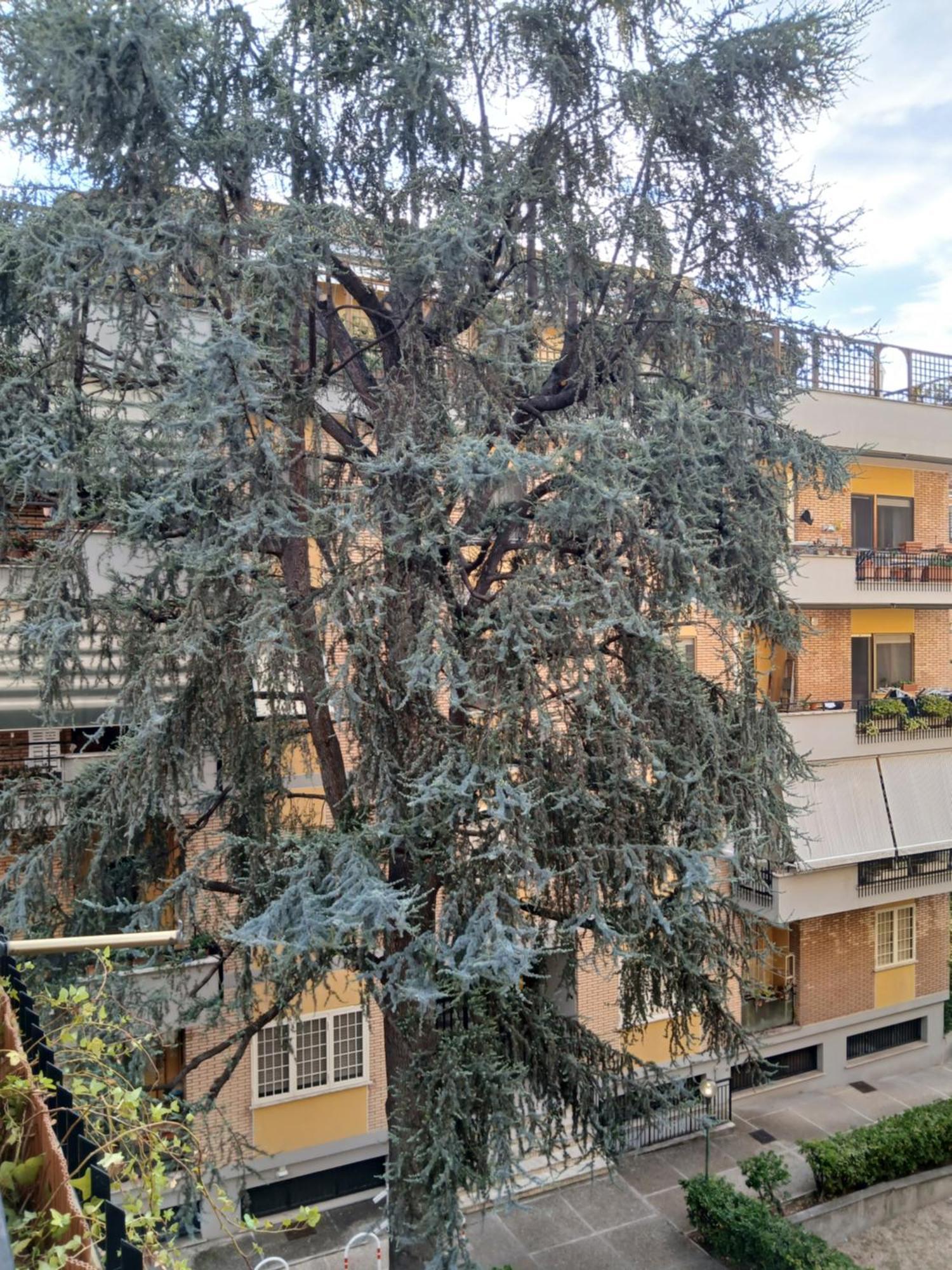 Apartmán La Casa Di Antonella E Giuseppe Řím Exteriér fotografie