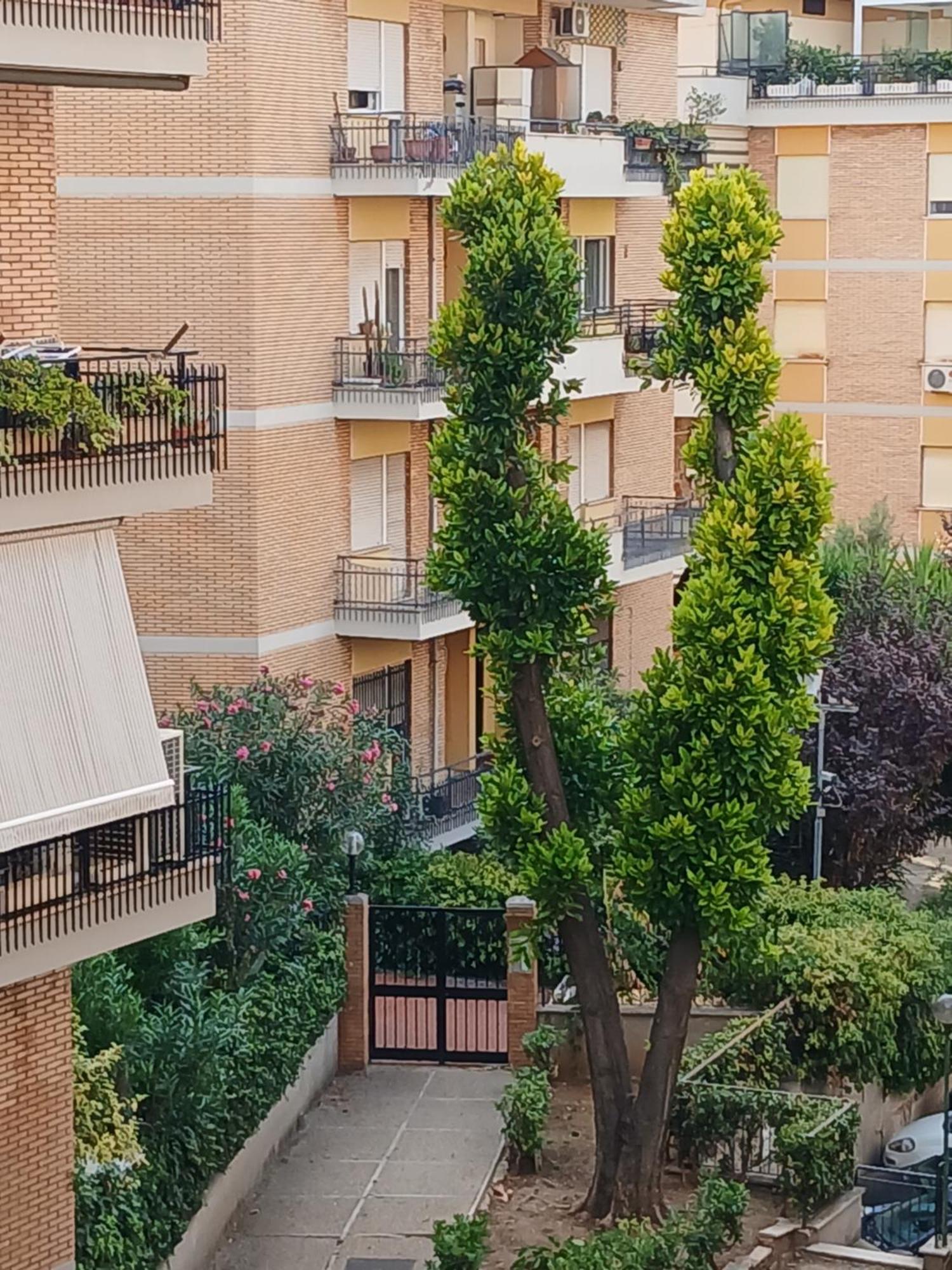 Apartmán La Casa Di Antonella E Giuseppe Řím Exteriér fotografie